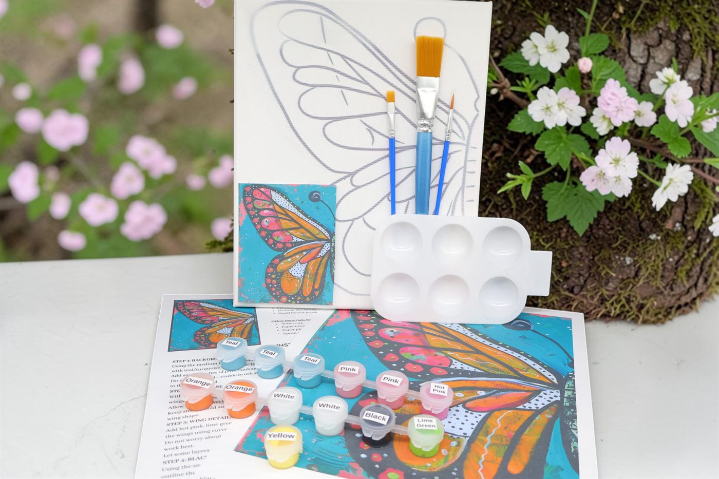 Butterfly Painting Kit