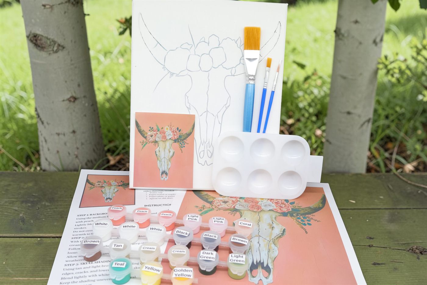Cow Skull Painting Kit